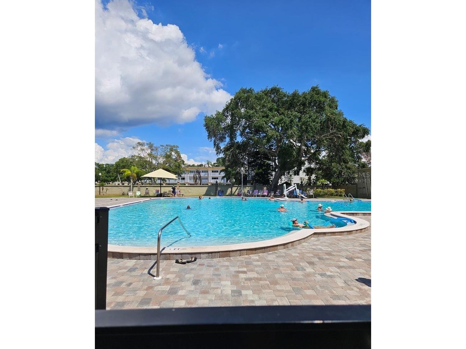 2400 Franciscan Drive #44 Clearwater FL 33763 TB8497200 image6