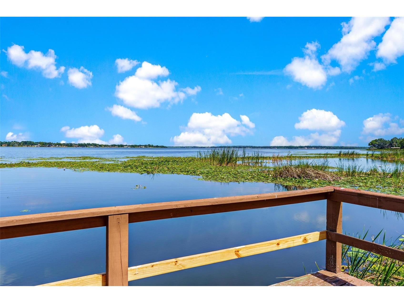 2400 N Griffin Drive Leesburg FL 34748 - LAKE GRIFFIN G5096306 image72