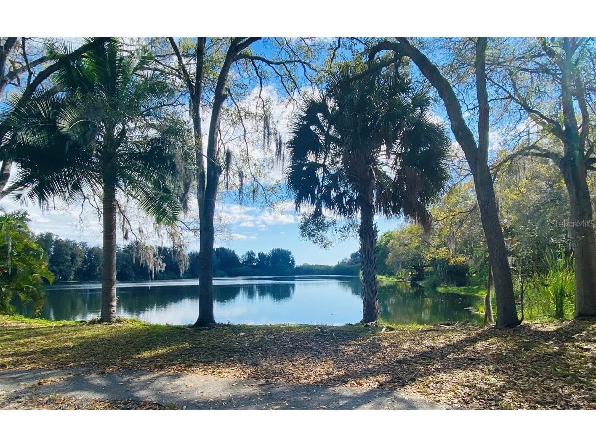 2400 Pine Hammock Clearwater FL 33764 TB8305192 image2