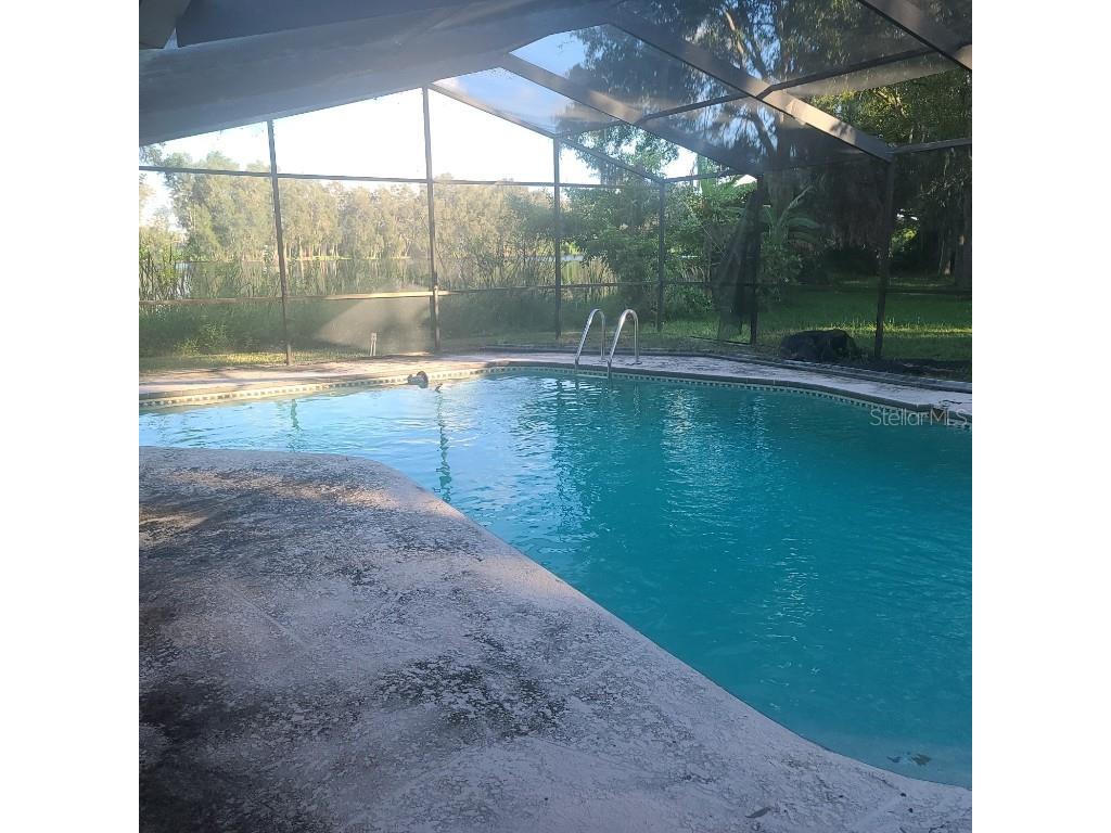 2400 Pine Hammock Clearwater FL 33764 TB8305192 image3