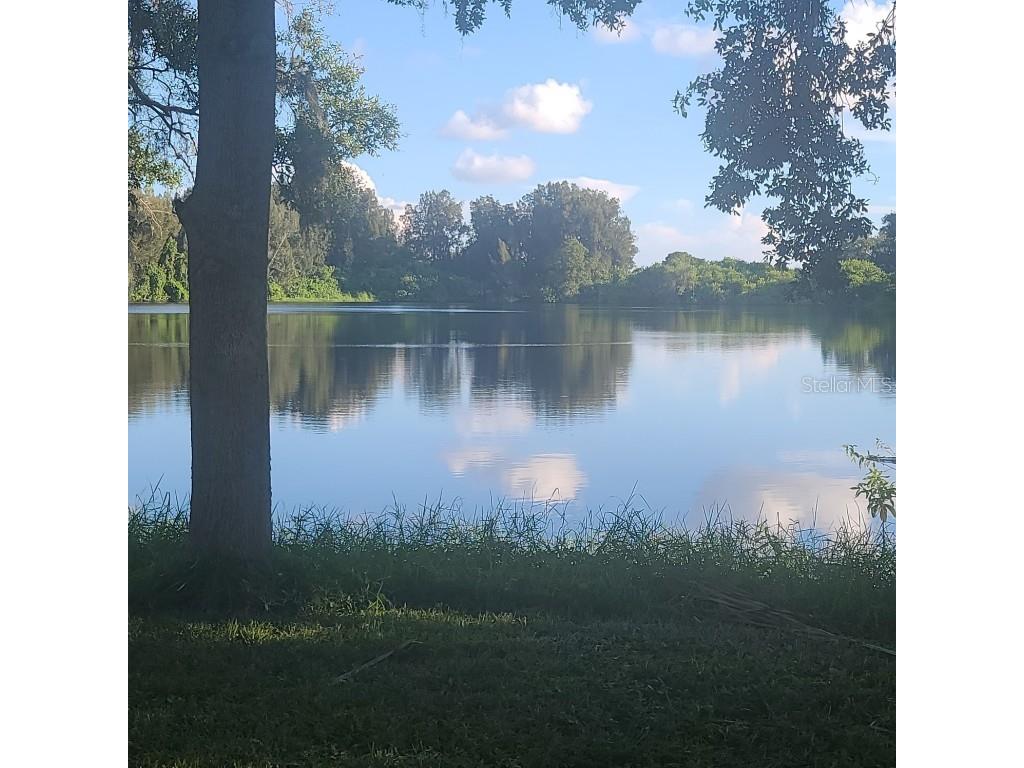 2400 Pine Hammock Clearwater FL 33764 TB8305192 image4