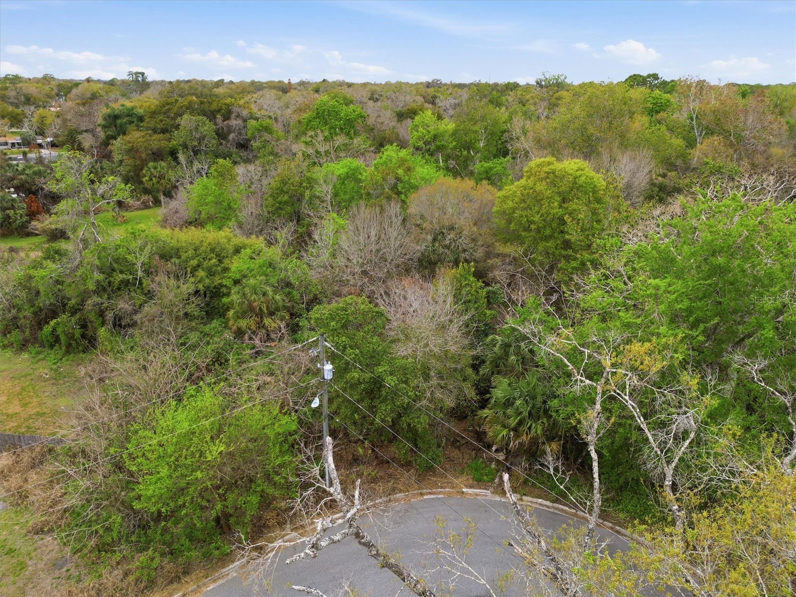 2400 Princeton Sanford FL 32771 O6389545 image2