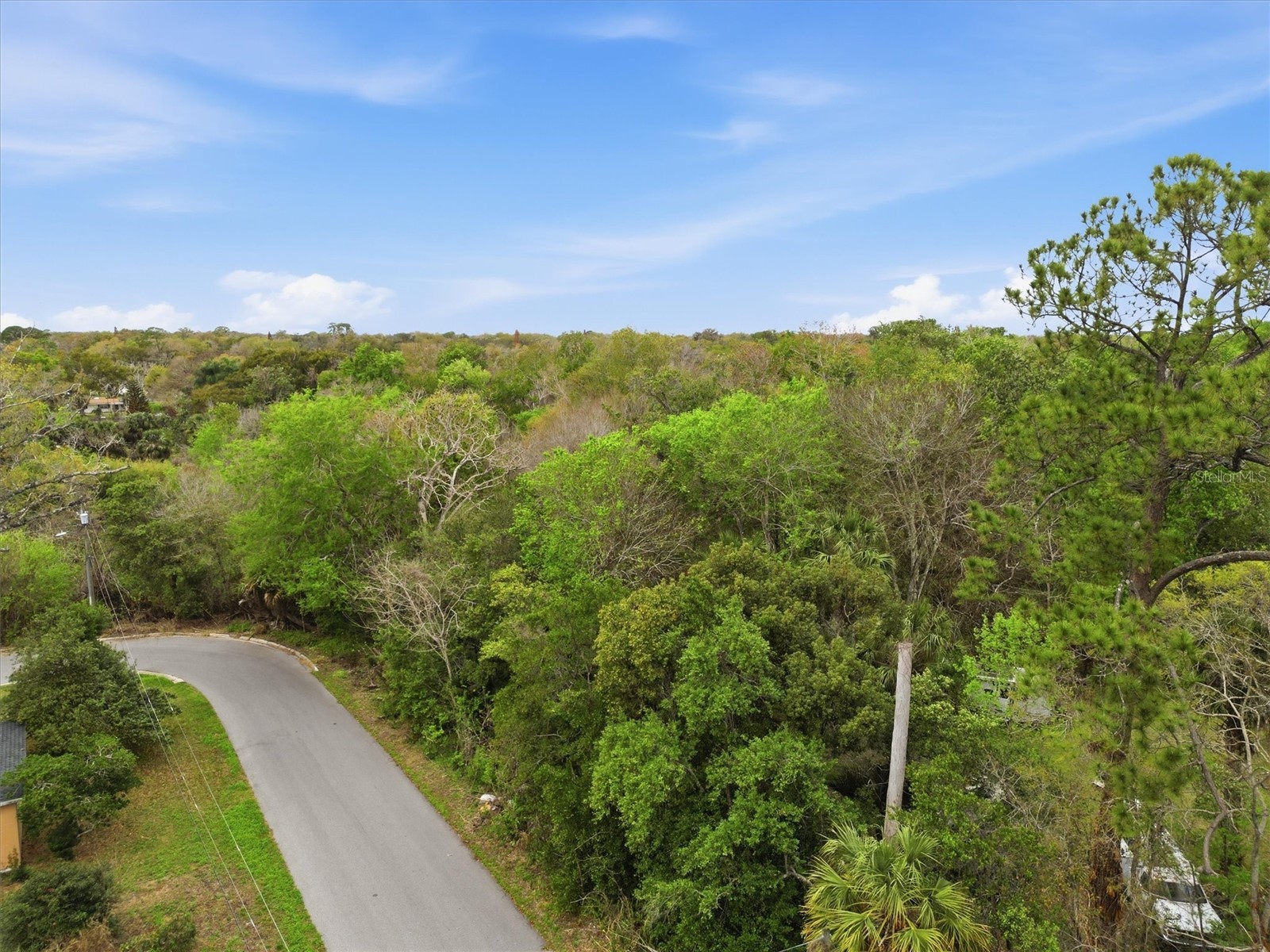 2400 Princeton Sanford FL 32771 O6389545 image3