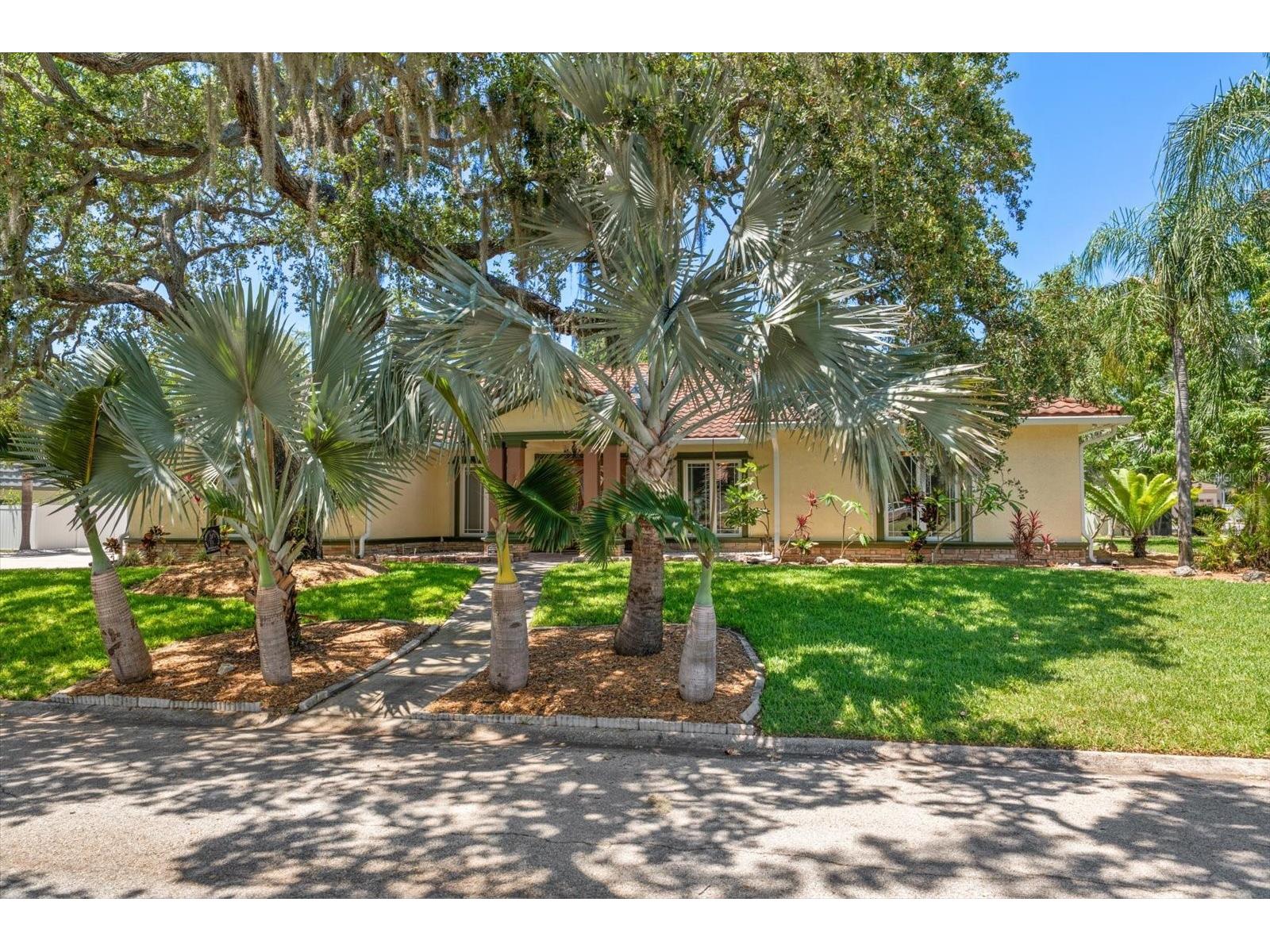 2400 Sherwood Lane Clearwater FL 33764 TB8510702 image2