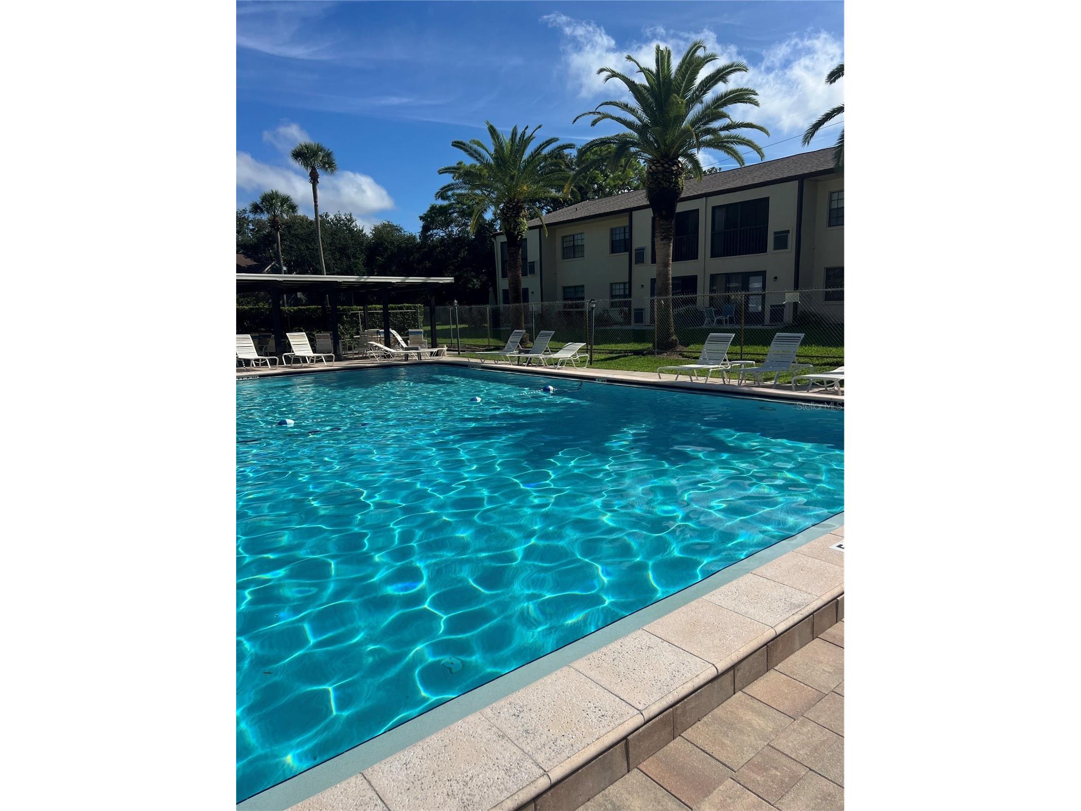 2400 Winding Creek Boulevard #16-108 Clearwater FL 33761 TB8466125 image28