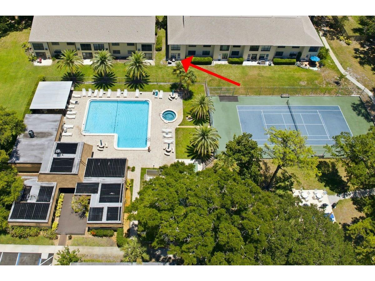 2400 Winding Creek Boulevard #20A-109 Clearwater FL 33761 TB8521581 image3