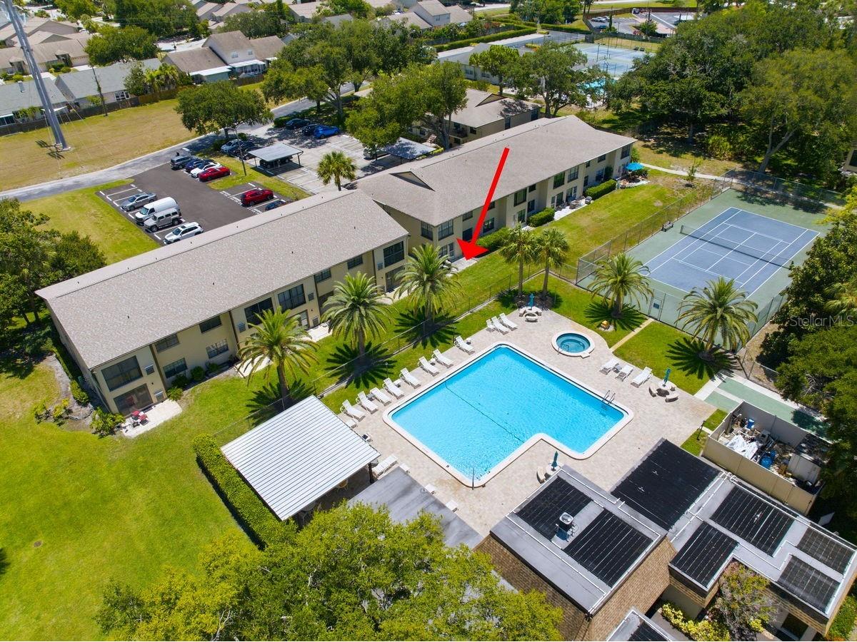 2400 Winding Creek Boulevard #20A-109 Clearwater FL 33761 TB8521581 image38