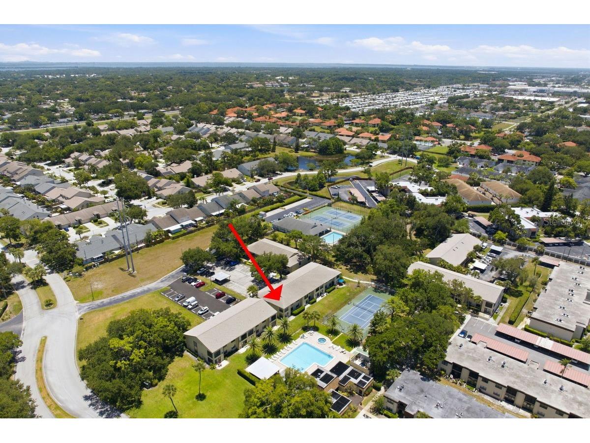 2400 Winding Creek Boulevard #20A-109 Clearwater FL 33761 TB8521581 image50