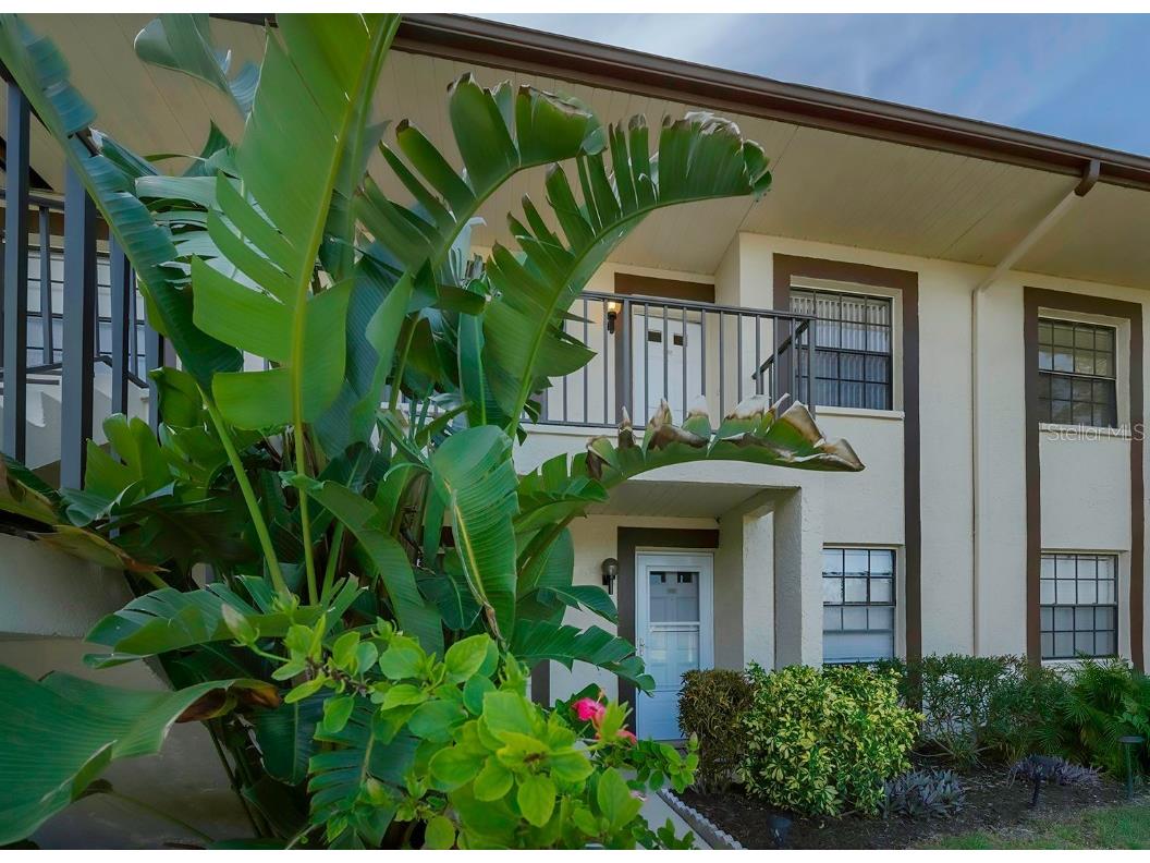2400 Winding Creek Boulevard #21A-202 Clearwater FL 33761 TB8334149 image1