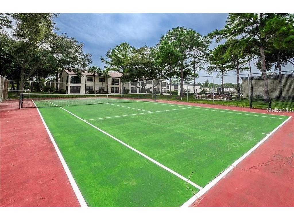 2400 Winding Creek Boulevard #24-102 Clearwater FL 33761 TB8381056 image20