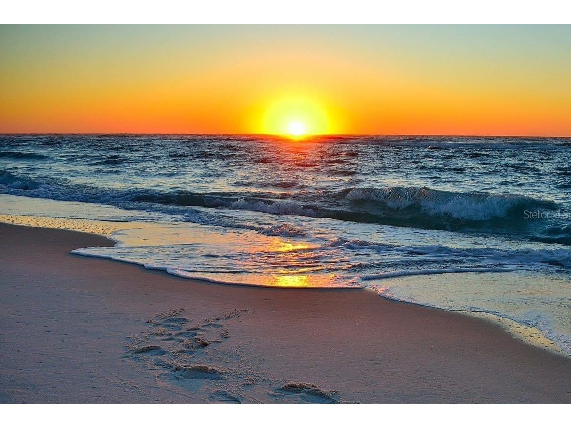 2400 Winding Creek Boulevard #24-102 Clearwater FL 33761 TB8381056 image22