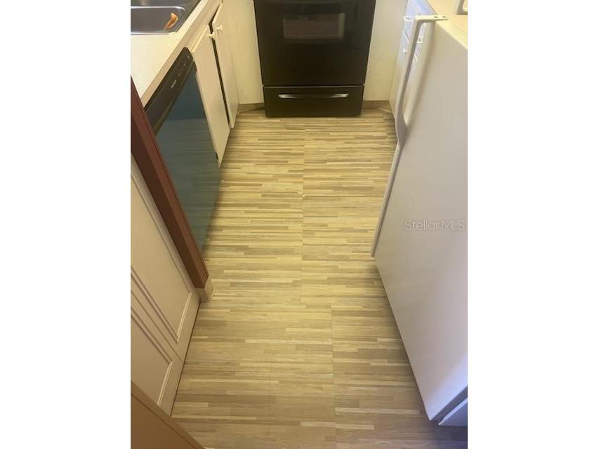 2400 Winding Creek Boulevard #3-202 Clearwater FL 33761 T3496489 image17