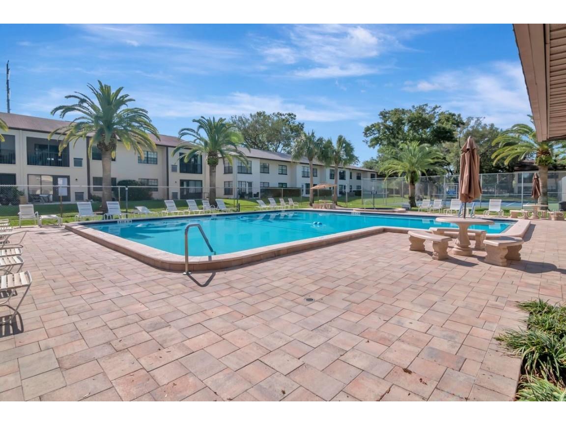 2400 Winding Creek Boulevard #3-202 Clearwater FL 33761 T3496489 image39