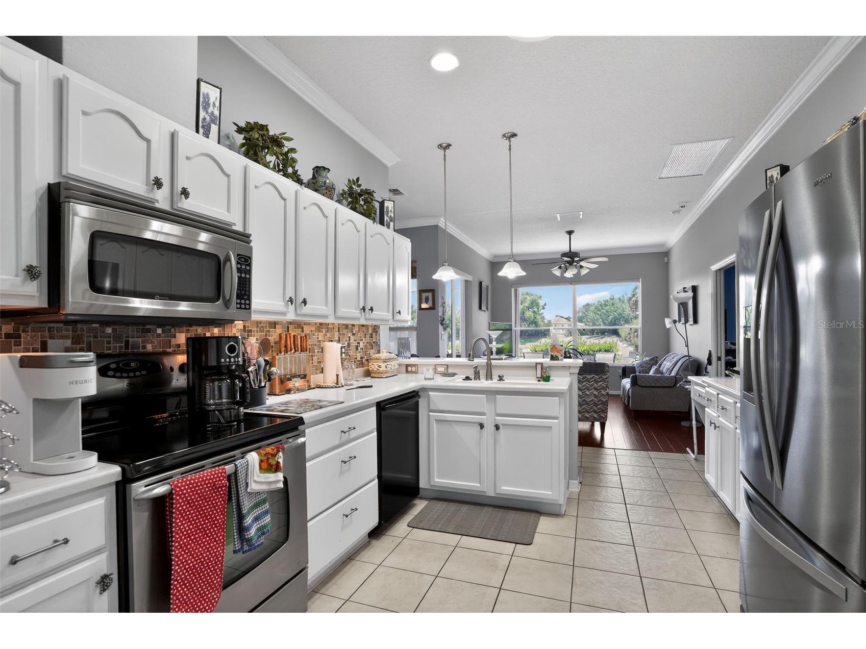 24001 Robinwood Street Leesburg FL 34748 A4693502 image10
