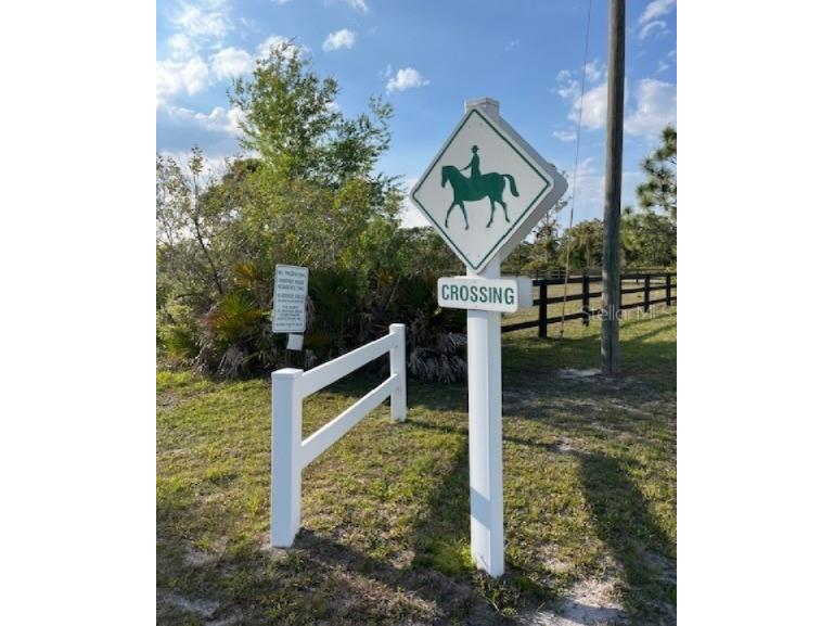 24005 83rd Avenue E Myakka City FL 34251 TB8491634 image11