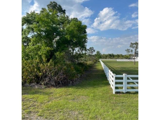 24005 83rd Avenue E Myakka City FL 34251 TB8491634 image7