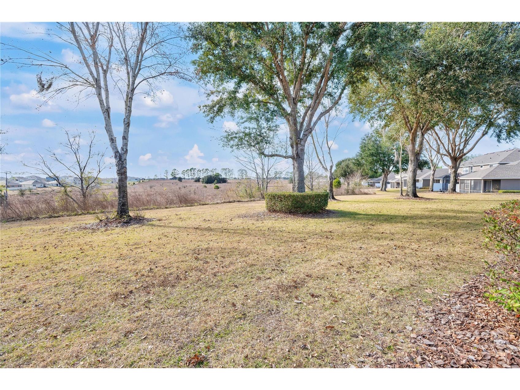 24008 Sardinia Drive Sorrento FL 32776 G5107107 image31