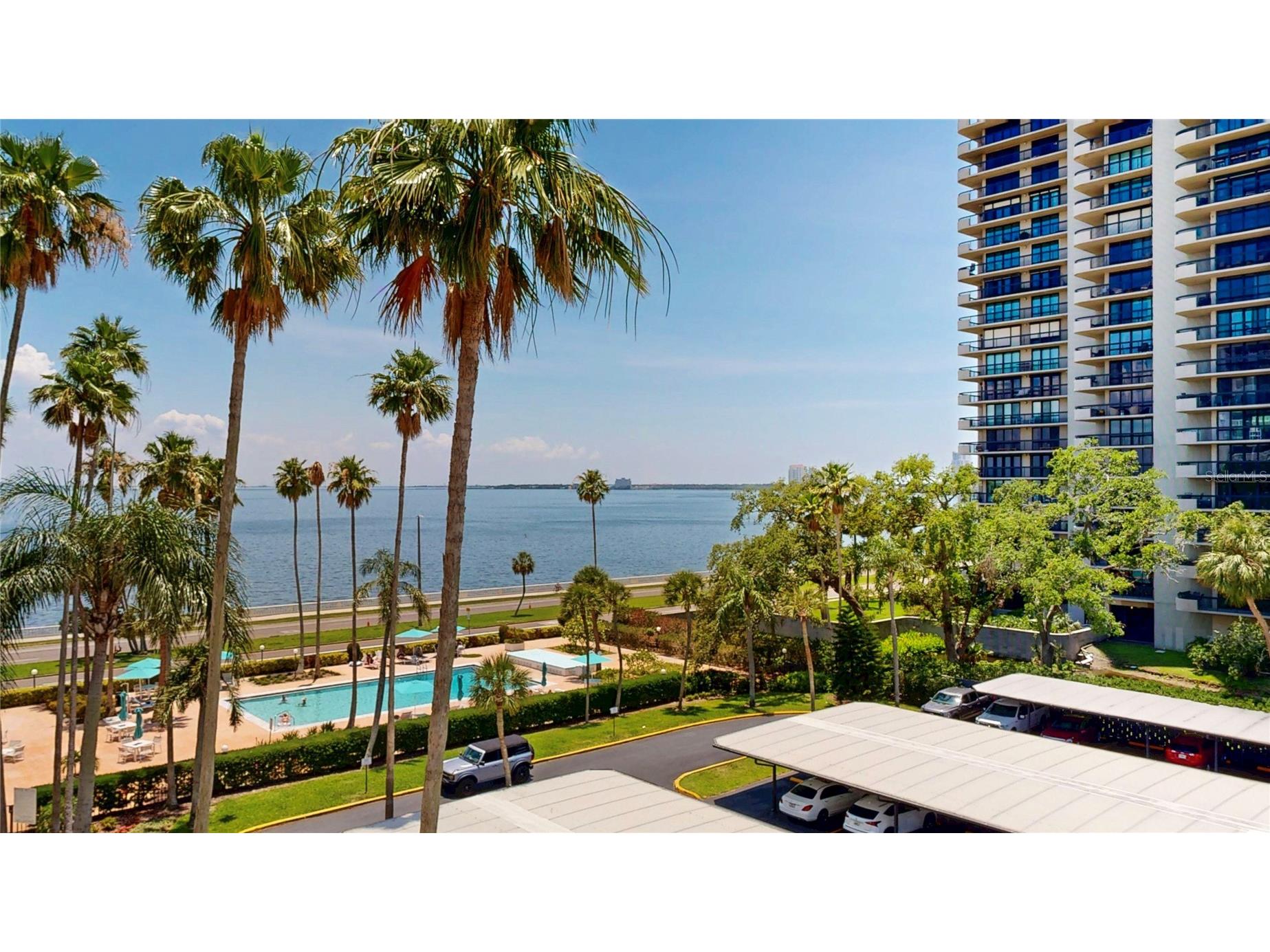 2401 Bayshore Blvd #502 Tampa FL 33629 TB8532256 image17