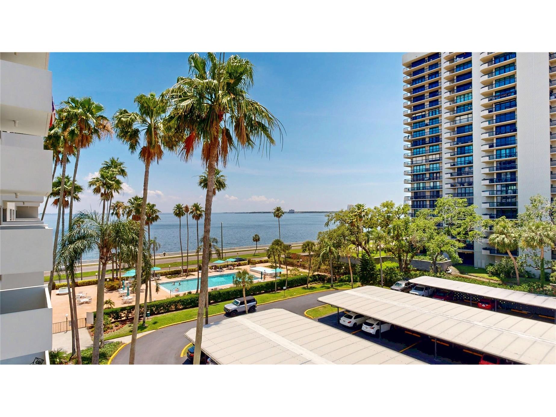 2401 Bayshore Blvd #502 Tampa FL 33629 TB8532256 image21