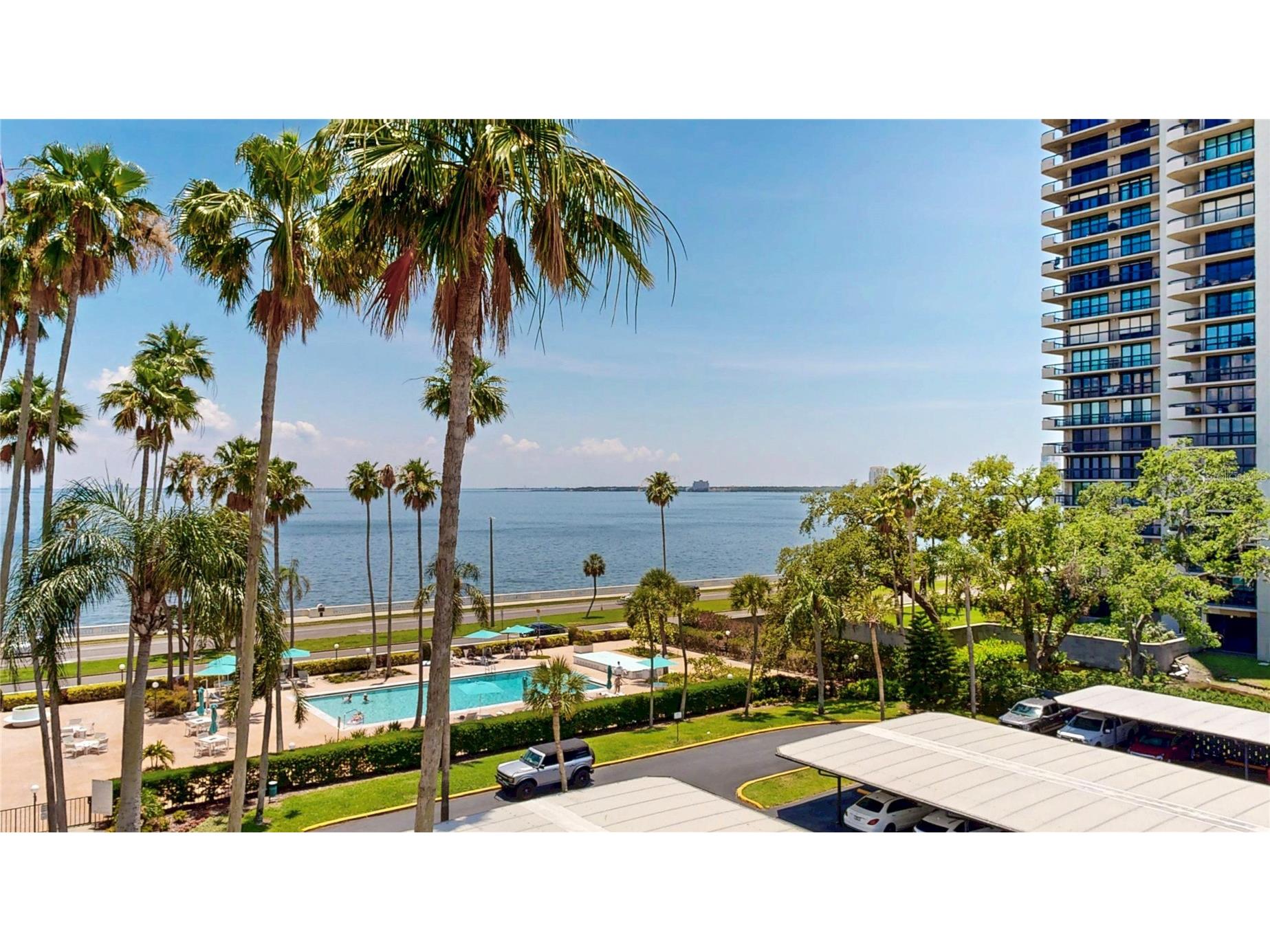 2401 Bayshore Blvd #502 Tampa FL 33629 TB8532256 image22