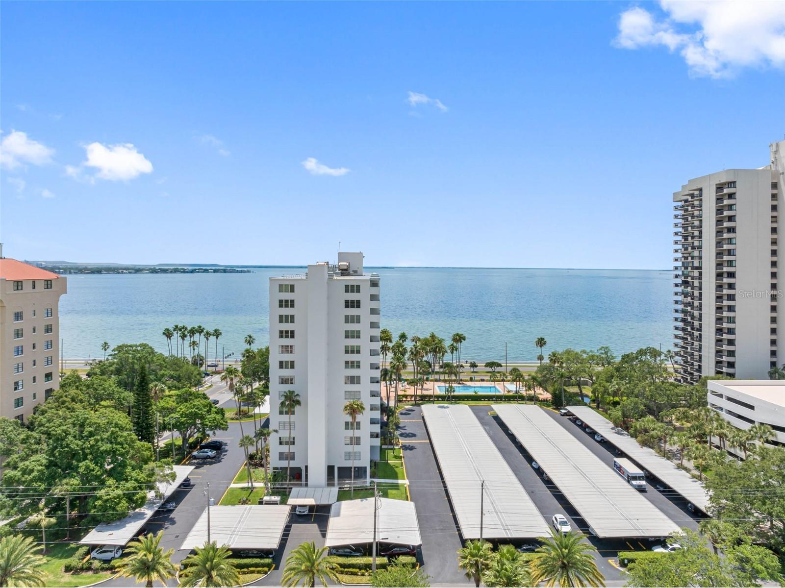 2401 Bayshore Blvd #502 Tampa FL 33629 TB8532256 image4