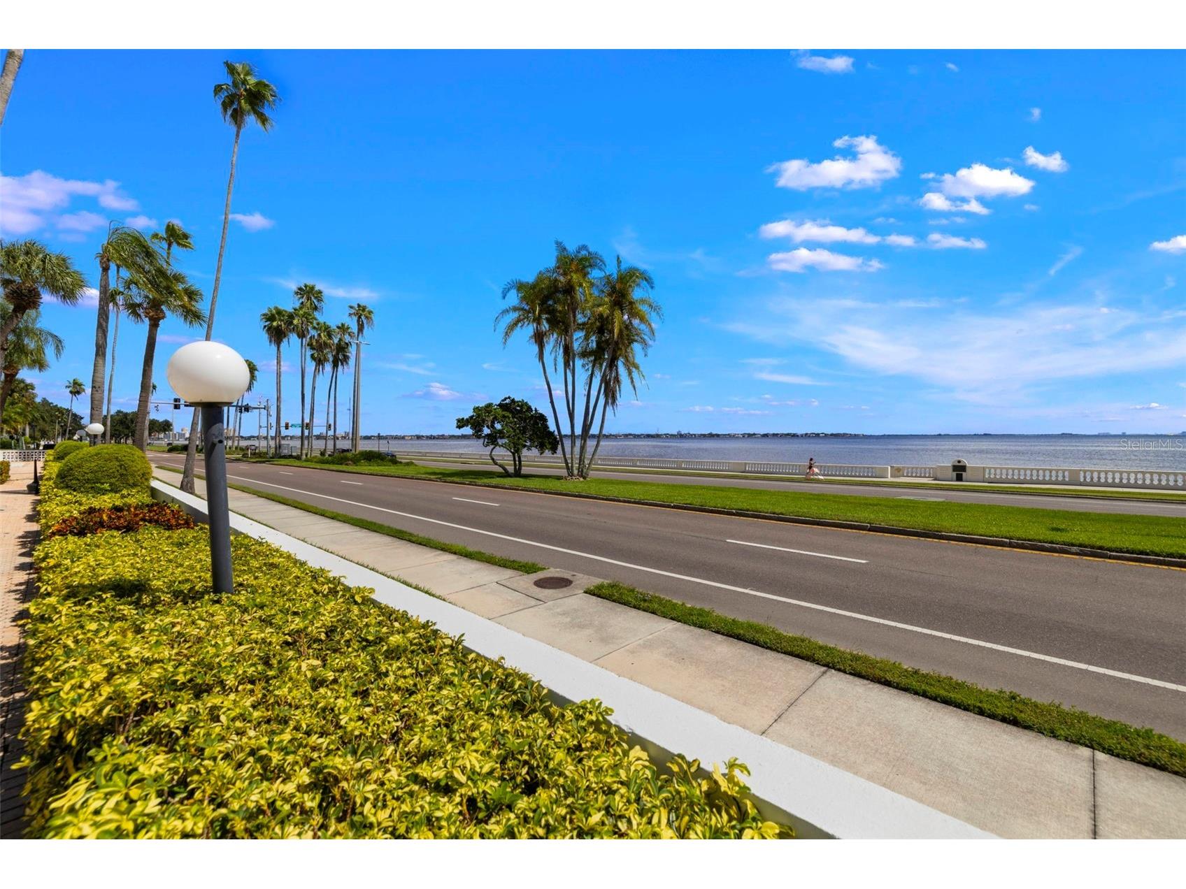 2401 Bayshore Boulevard #202 Tampa FL 33629 TB8464276 image42