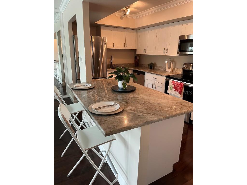 2401 Bayshore Boulevard #302 Tampa FL 33629 TB8443075 image11