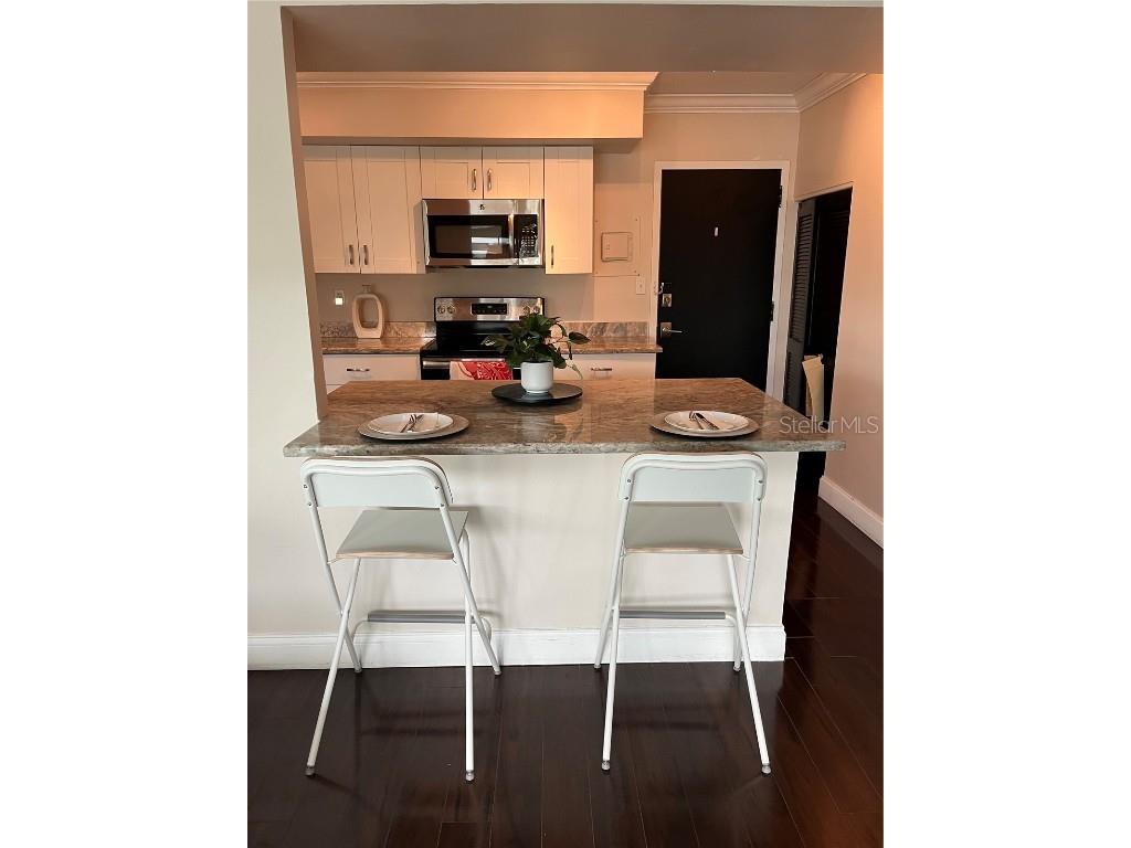 2401 Bayshore Boulevard #302 Tampa FL 33629 TB8443075 image12