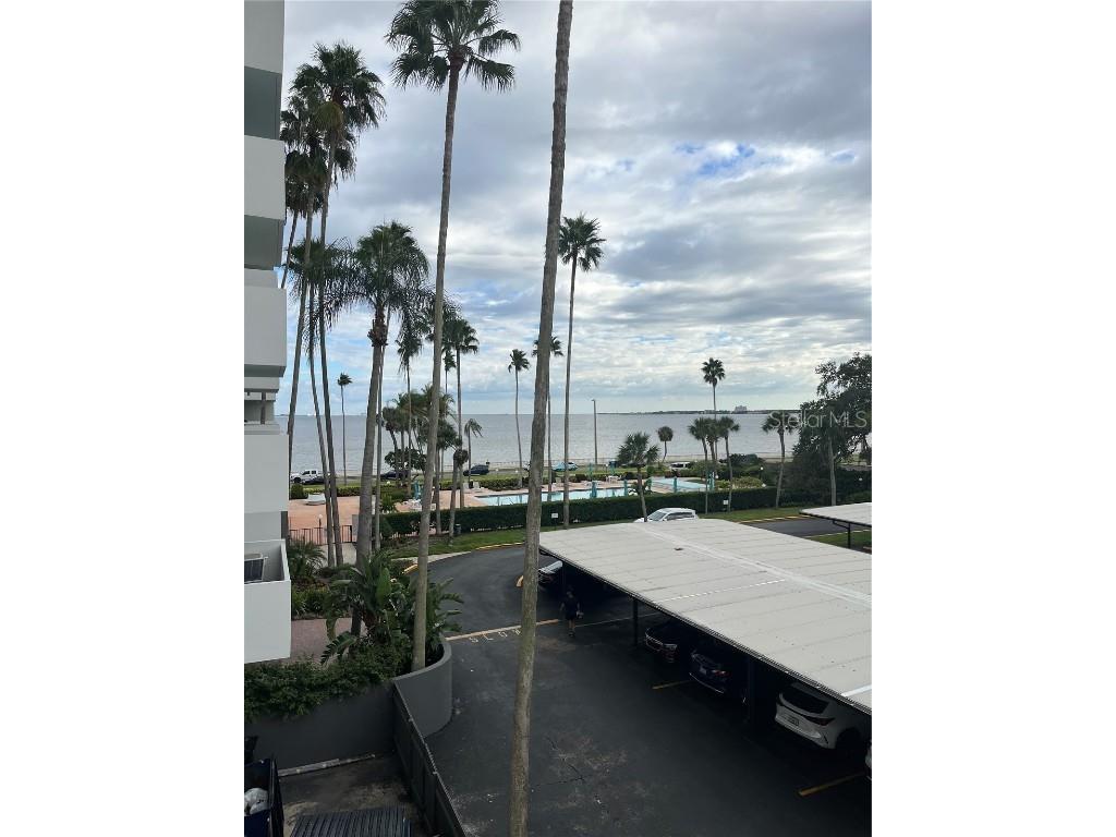 2401 Bayshore Boulevard #302 Tampa FL 33629 TB8443075 image21