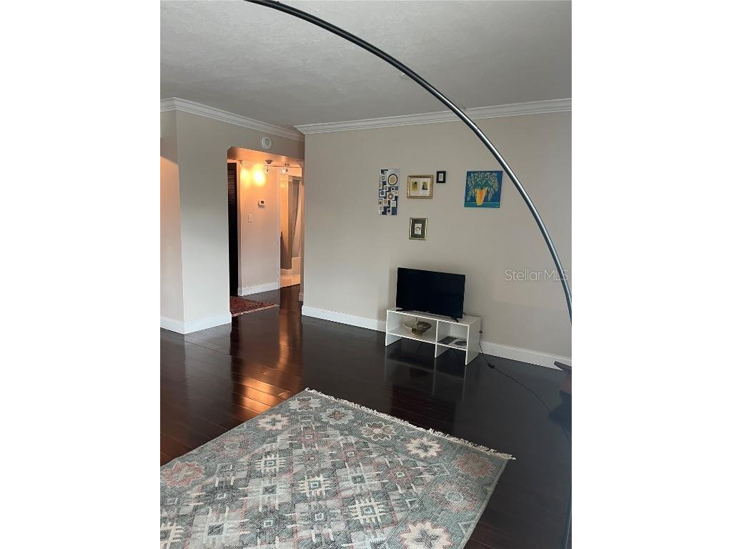 2401 Bayshore Boulevard #302 Tampa FL 33629 TB8443075 image5