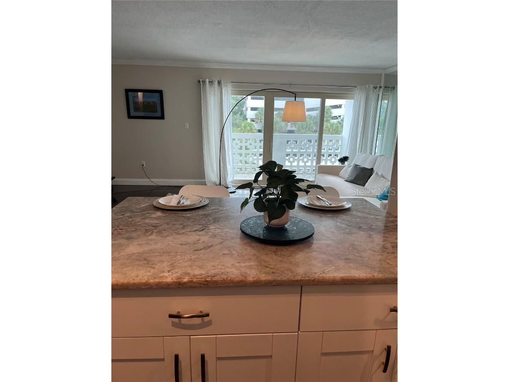 2401 Bayshore Boulevard #302 Tampa FL 33629 TB8443075 image8