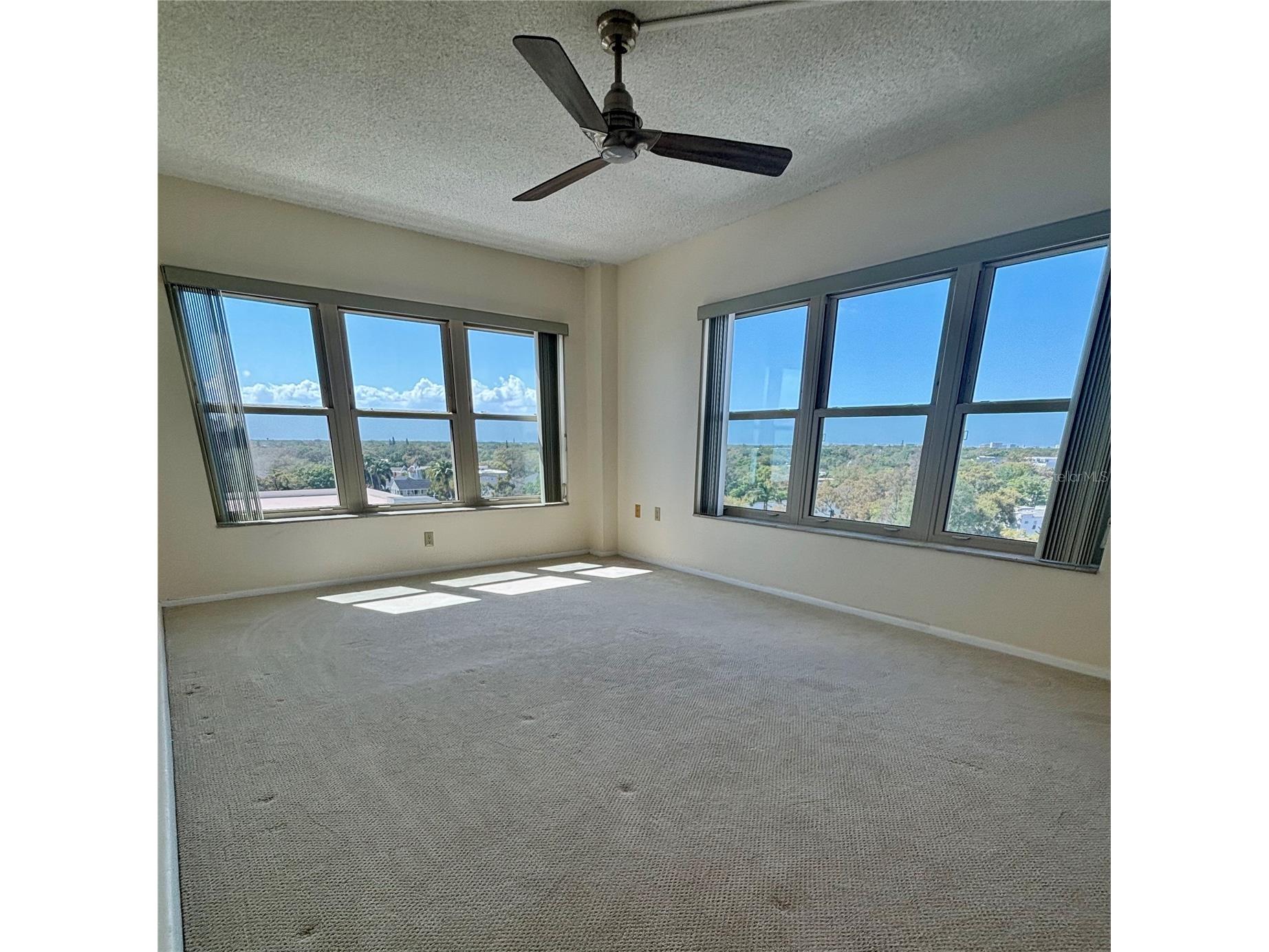 2401 Bayshore Boulevard #903 Tampa FL 33629 TB8511609 image17