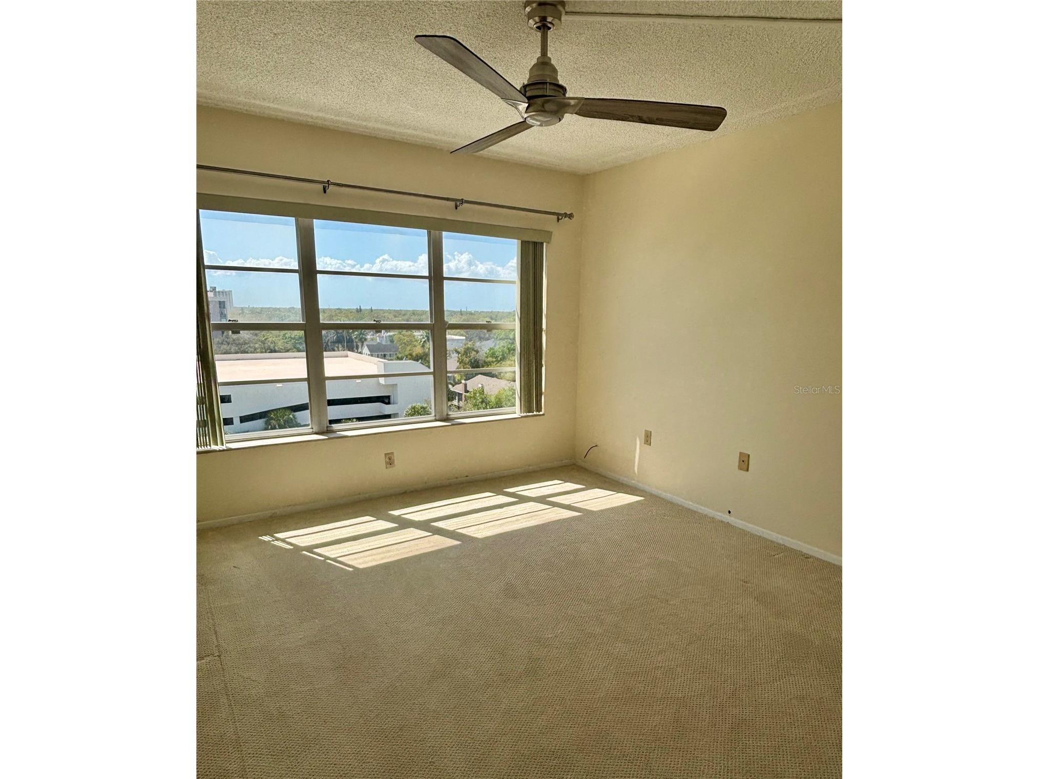 2401 Bayshore Boulevard #903 Tampa FL 33629 TB8511609 image23
