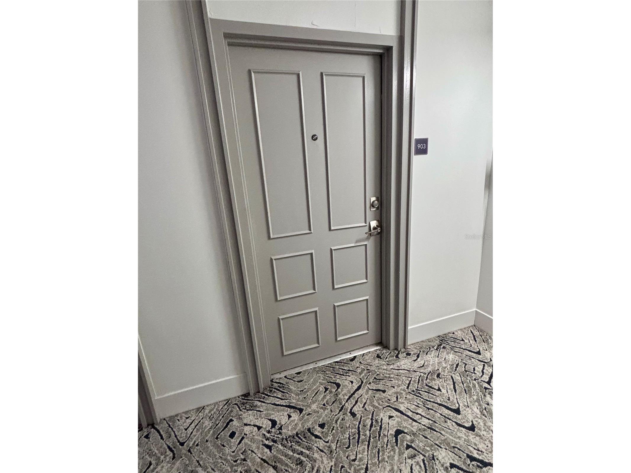 2401 Bayshore Boulevard #903 Tampa FL 33629 TB8511609 image3