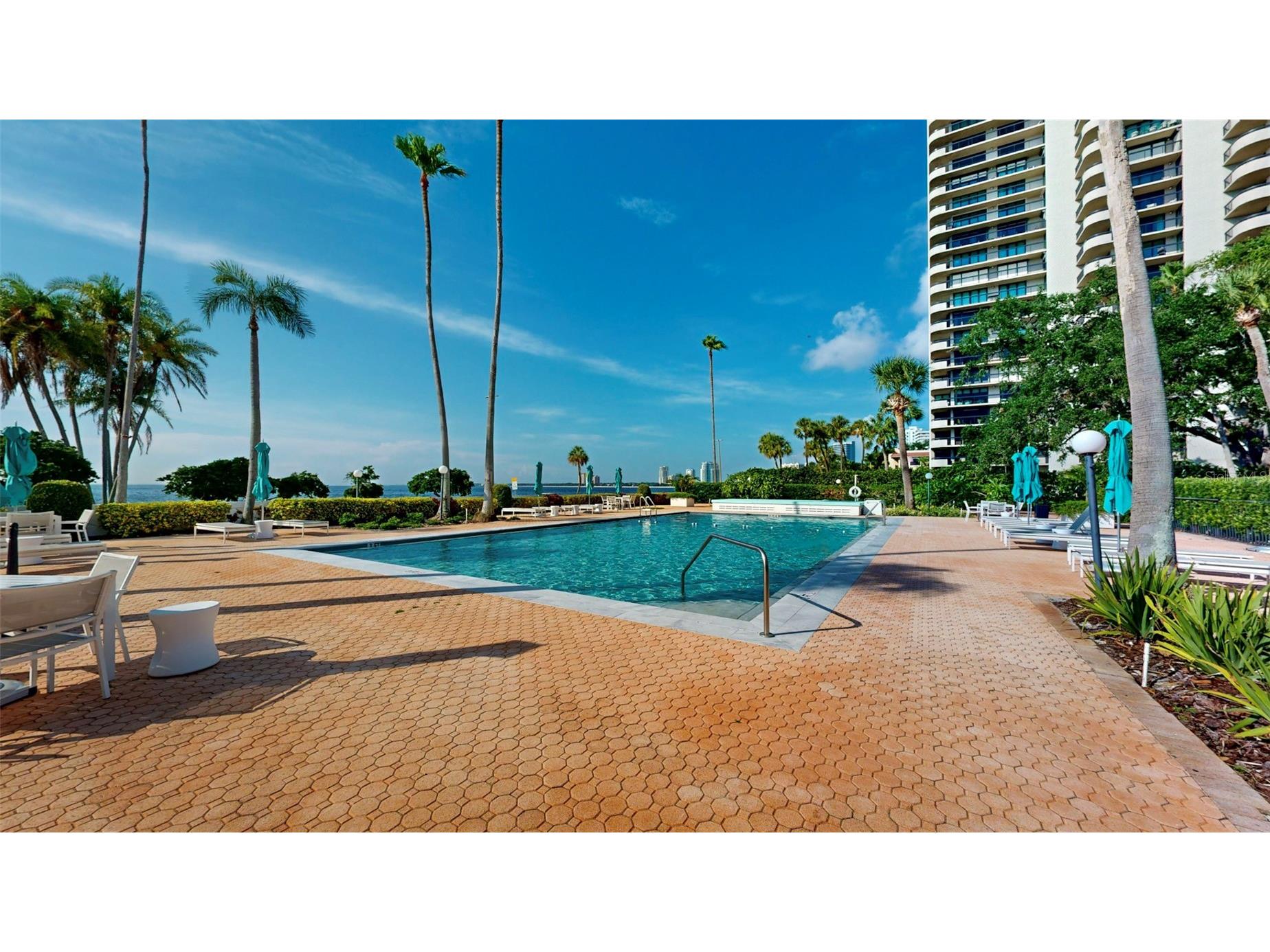 2401 Bayshore Boulevard #903 Tampa FL 33629 TB8511609 image38