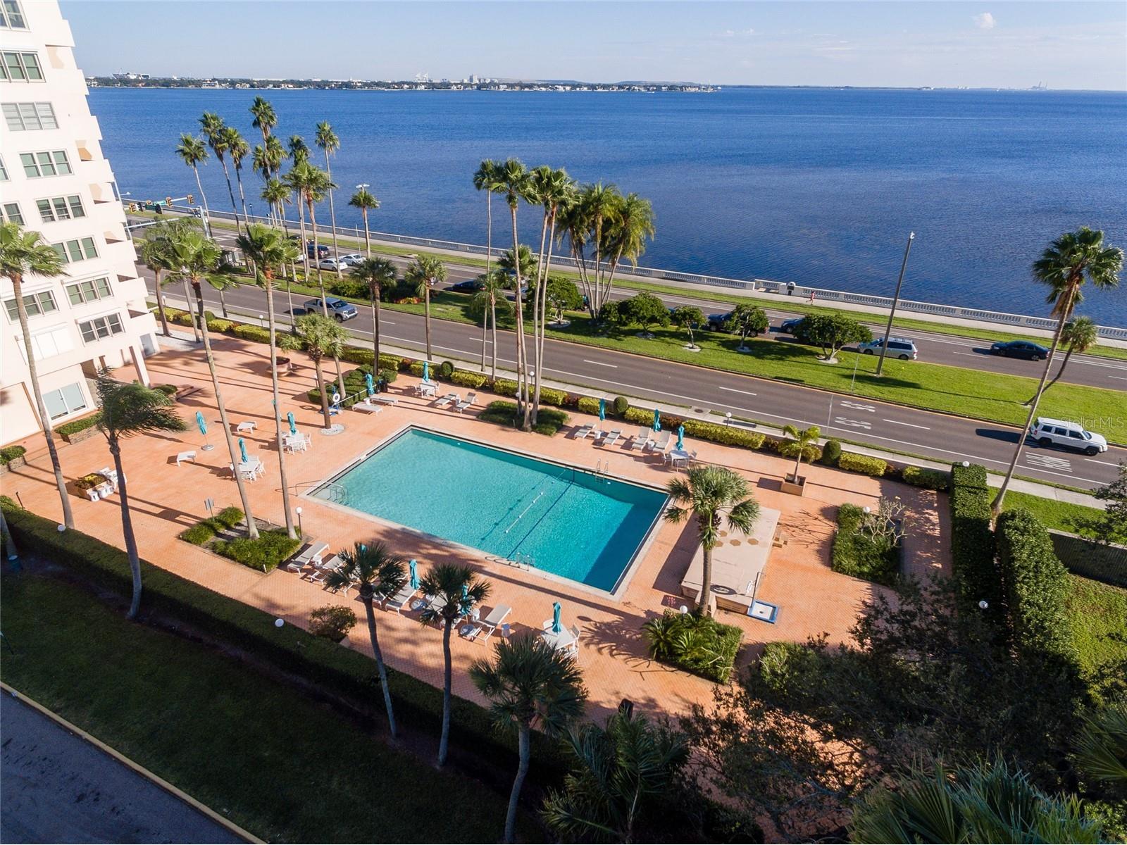 2401 Bayshore Boulevard #903 Tampa FL 33629 TB8511609 image40