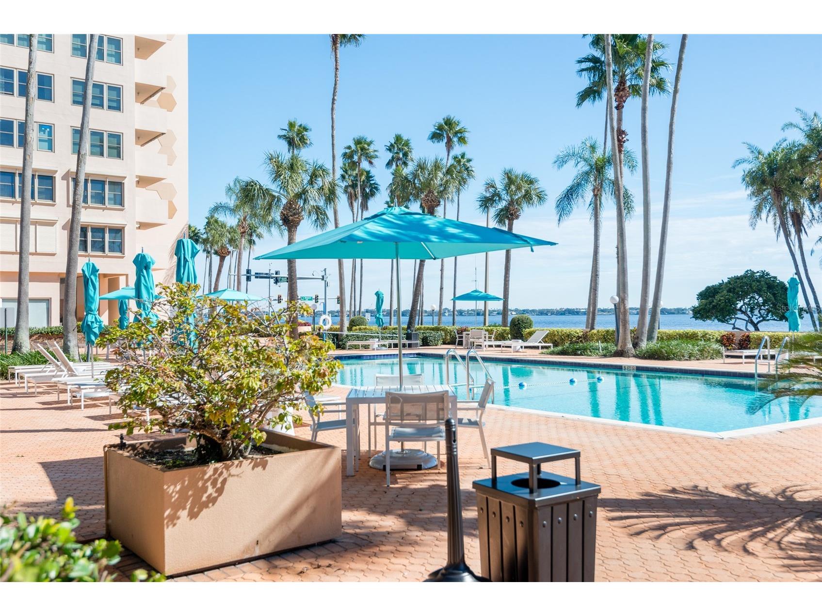 2401 Bayshore Boulevard #903 Tampa FL 33629 TB8511609 image42
