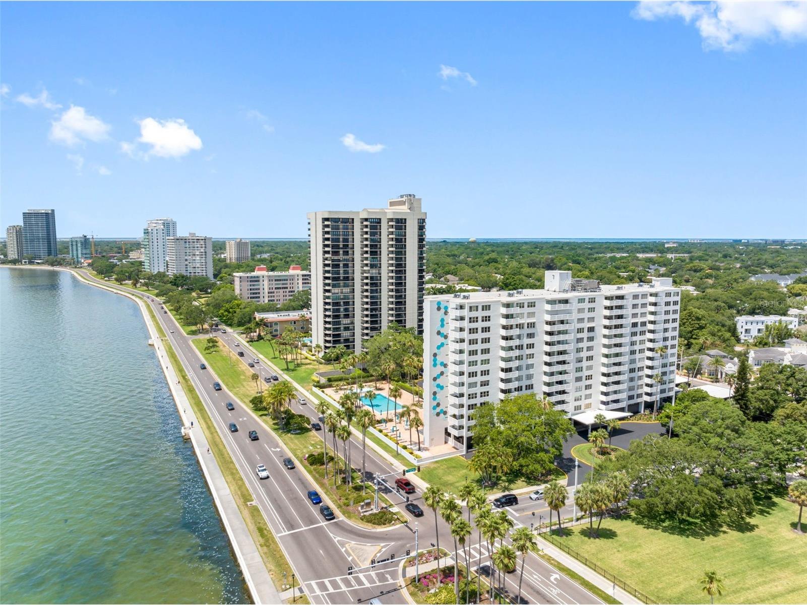 2401 Bayshore Boulevard #903 Tampa FL 33629 TB8511609 image46