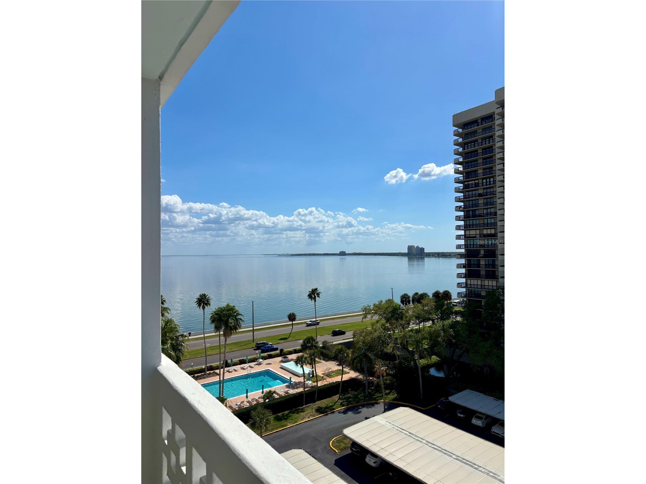 2401 Bayshore Boulevard #903 Tampa FL 33629 TB8511609 image5