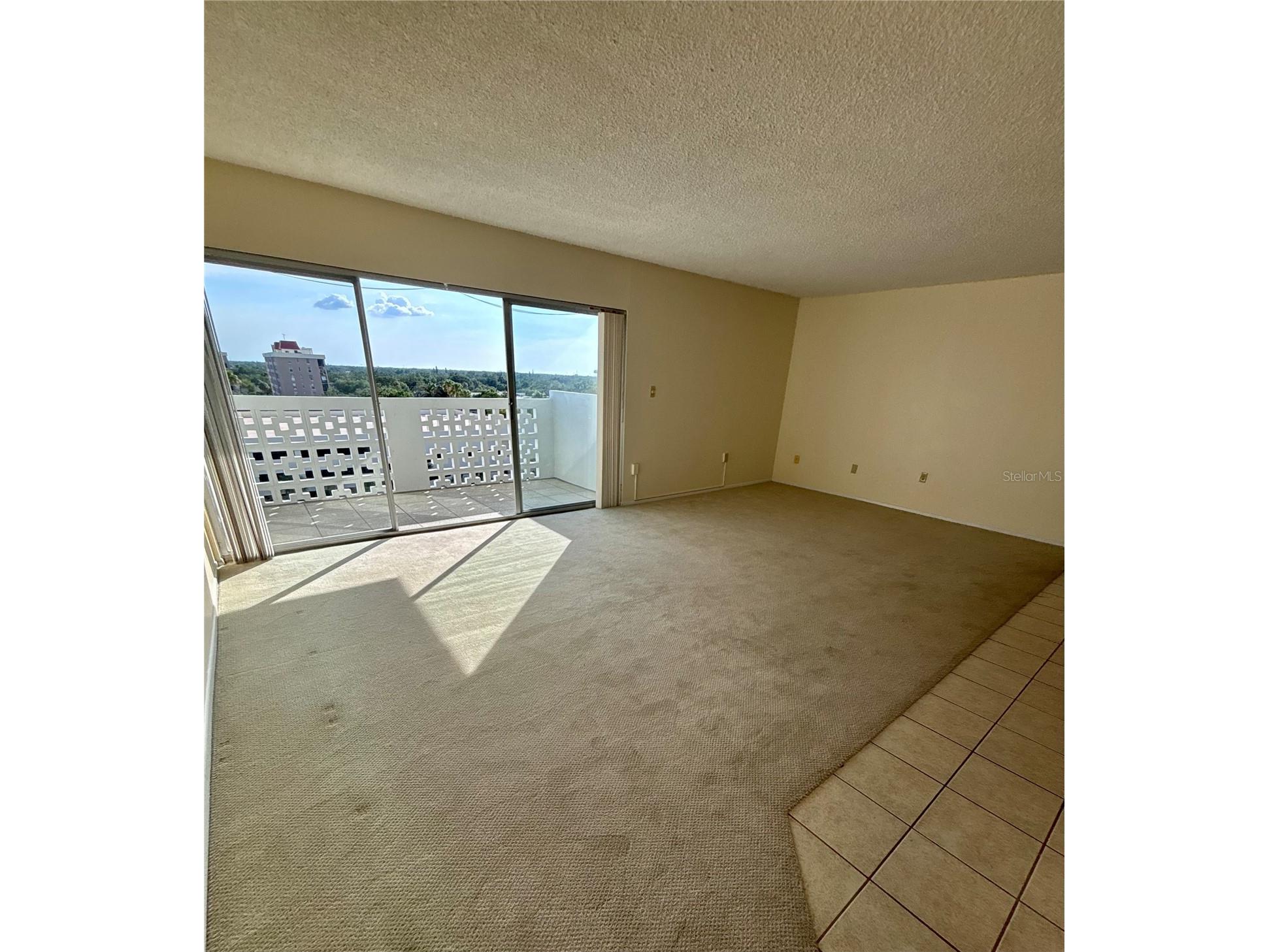 2401 Bayshore Boulevard #903 Tampa FL 33629 TB8511609 image6