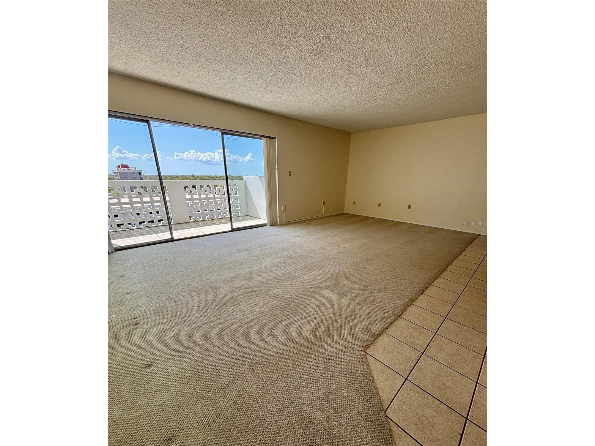 2401 Bayshore Boulevard #903 Tampa FL 33629 TB8511609 image7