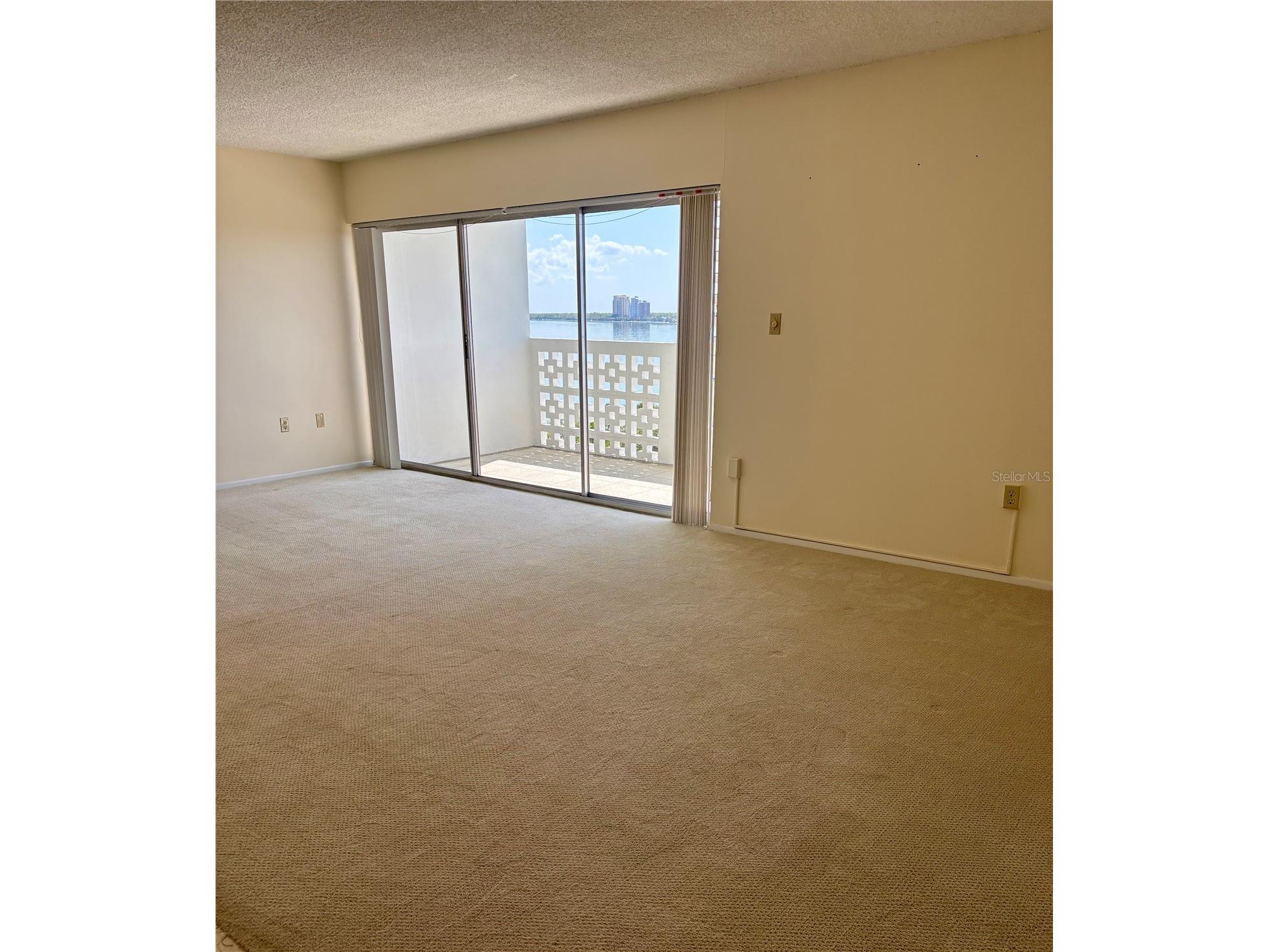 2401 Bayshore Boulevard #903 Tampa FL 33629 TB8511609 image8