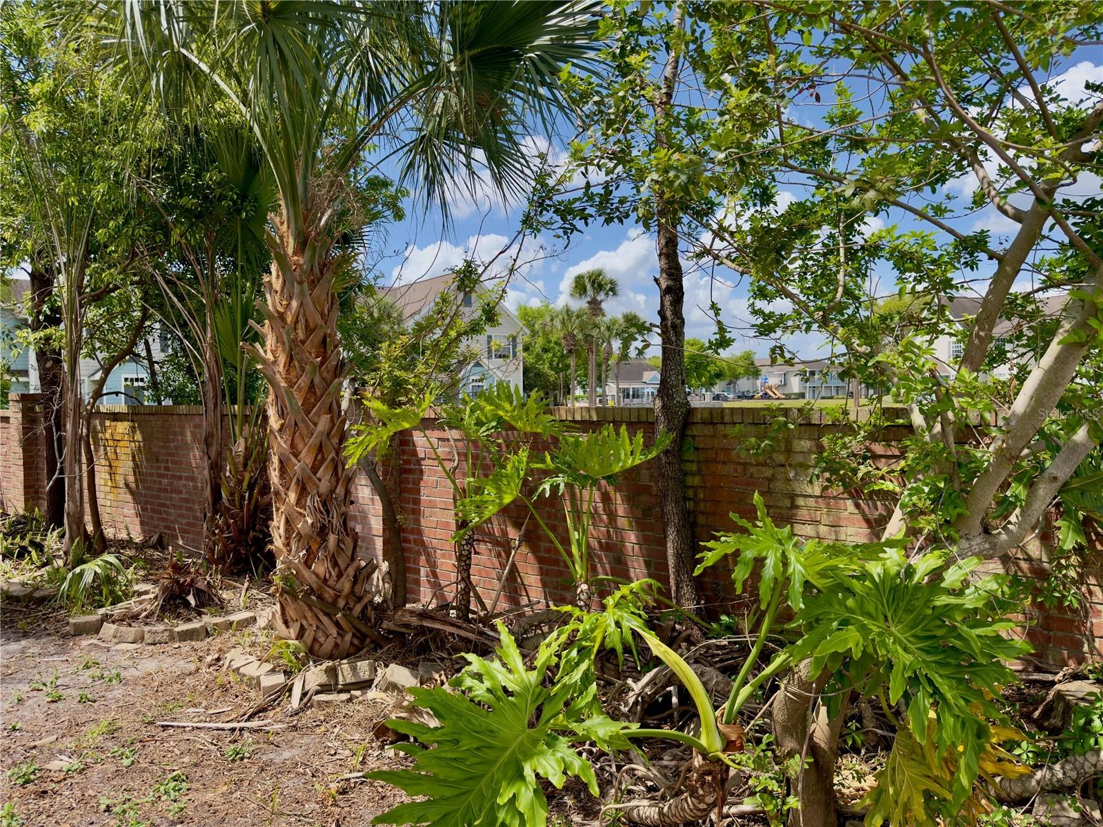 2401 Cliffdale Street Ocoee FL 34761 O6395983 image38