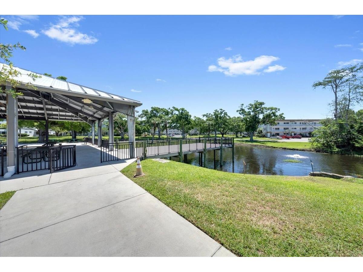 2401 Franciscan Drive #41 Clearwater FL 33763 TB8495481 image22