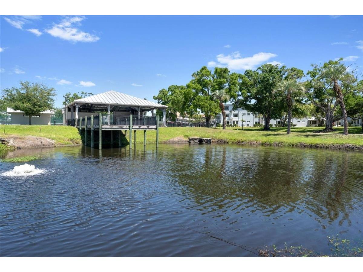 2401 Franciscan Drive #41 Clearwater FL 33763 TB8495481 image23