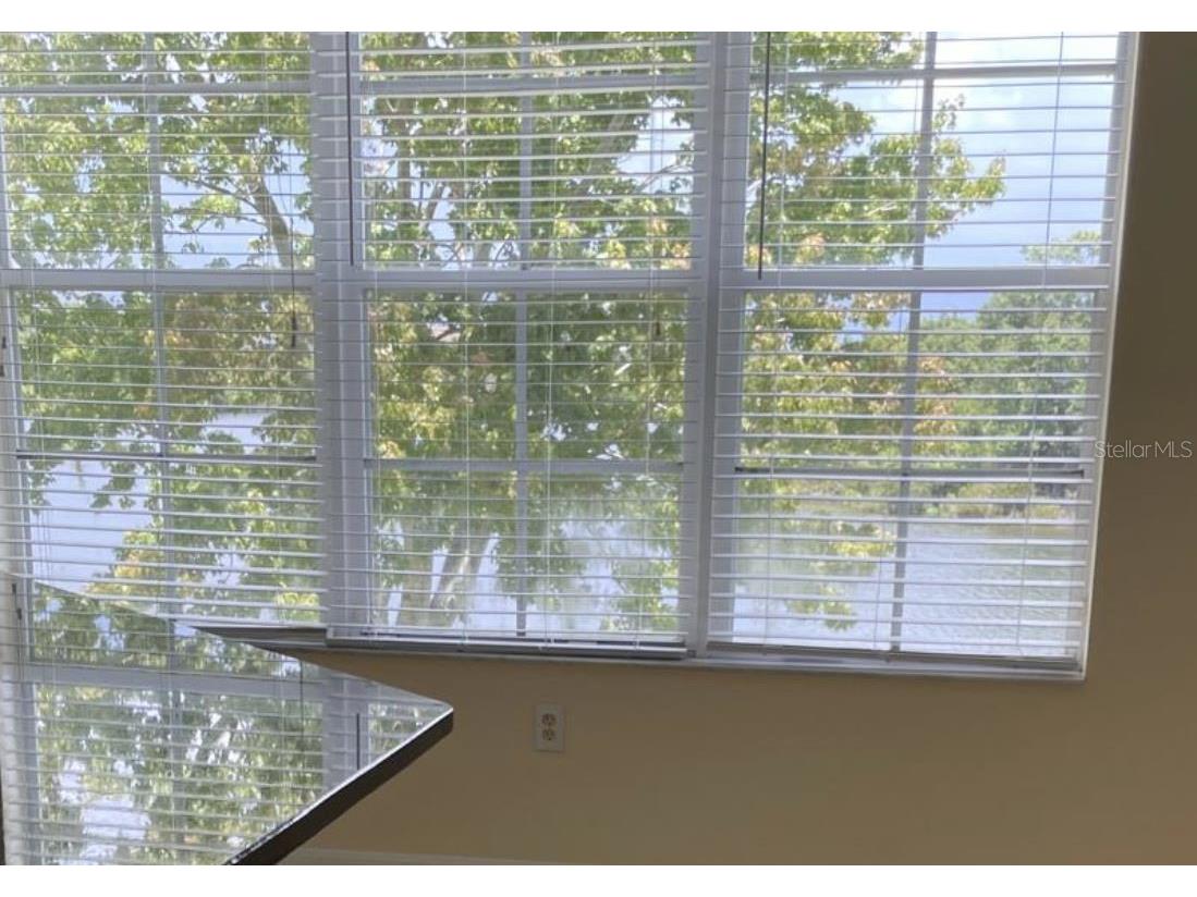 2401 Lexington Oak Drive Brandon FL 33511 NS1088598 image5
