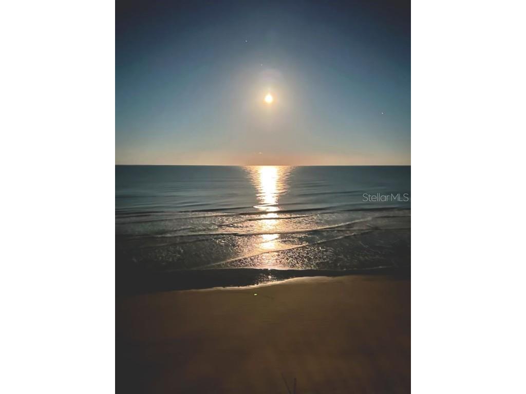 2401 S Atlantic Avenue #C206 New Smyrna Beach FL 32169 NS1083169 image42