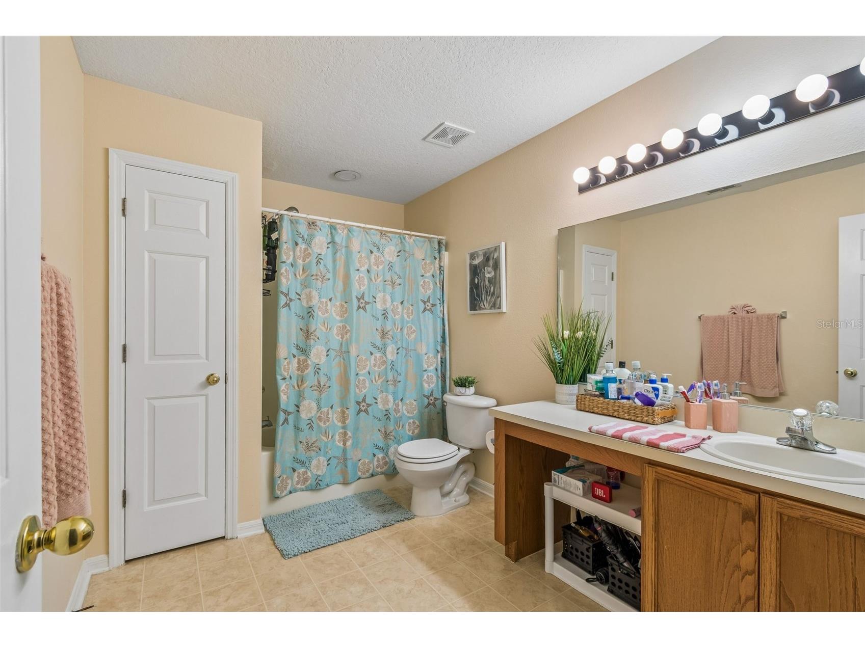 2401 Silvermoss Drive Wesley Chapel FL 33544 TB8492887 image25