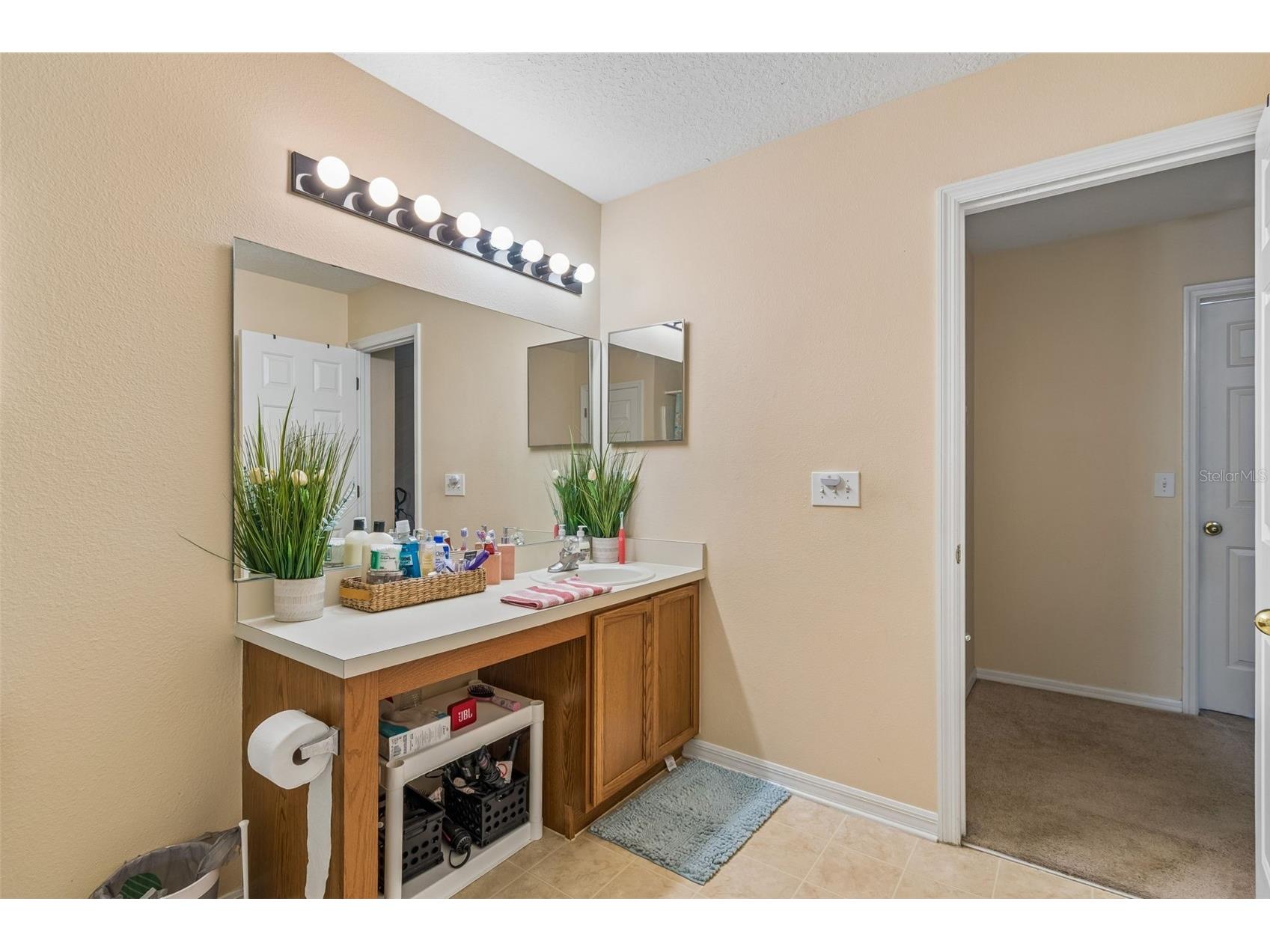 2401 Silvermoss Drive Wesley Chapel FL 33544 TB8492887 image26