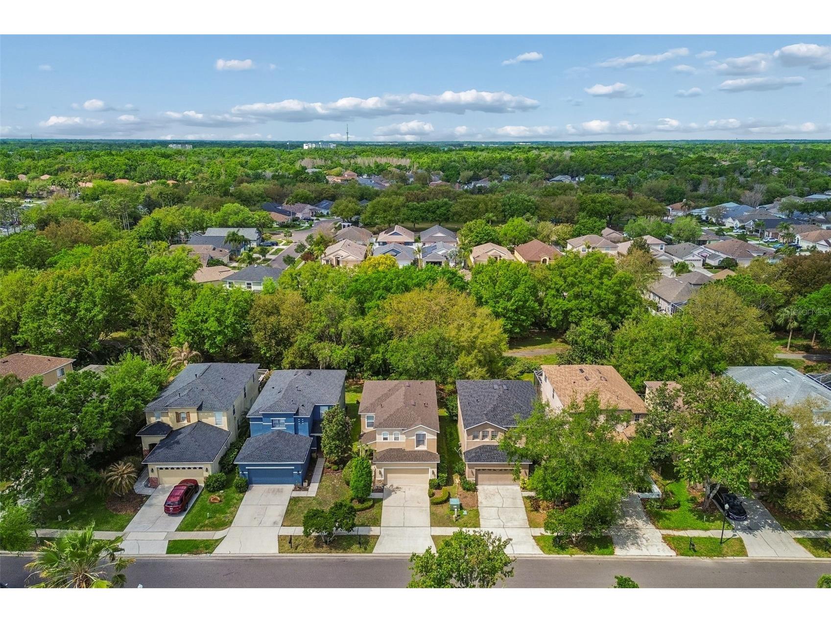 2401 Silvermoss Drive Wesley Chapel FL 33544 TB8492887 image44